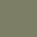 DailyShark AquaGuard® – Боя за Басейни и Хидроизолация 2.5л